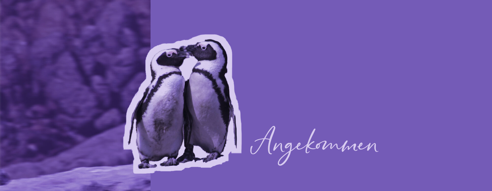 küssende Pinguine